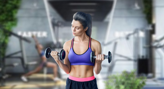 Proin tincidunt felis